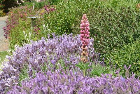 Hamlet Downs Country Accommodation - C Tourism 22