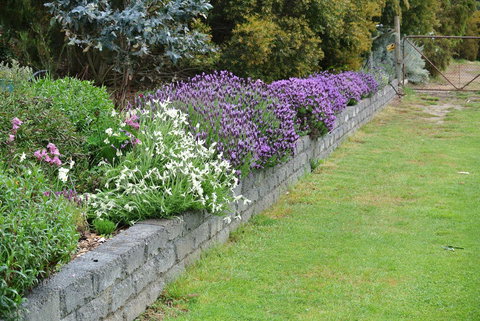 Hamlet Downs Country Accommodation - C Tourism 14