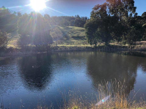 Hamlet Downs Country Accommodation - C Tourism 8