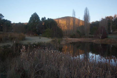 Hamlet Downs Country Accommodation - C Tourism 25