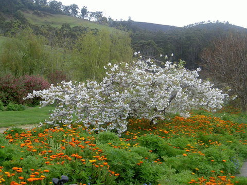 Hamlet Downs Country Accommodation - C Tourism 13