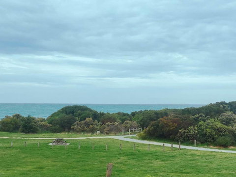 ODYSSEY APOLLO BAY - C Tourism 2