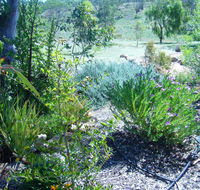 Old Miners' Cottages Bed and Breakfast - C Tourism