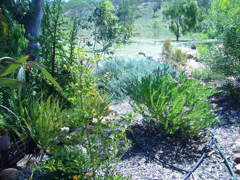 Old Miners' Cottages Bed And Breakfast - C Tourism 0