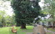 Olinda Country Cottages - thumb 0