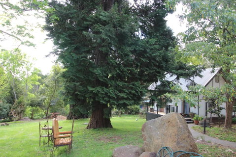Olinda Country Cottages - C Tourism 0