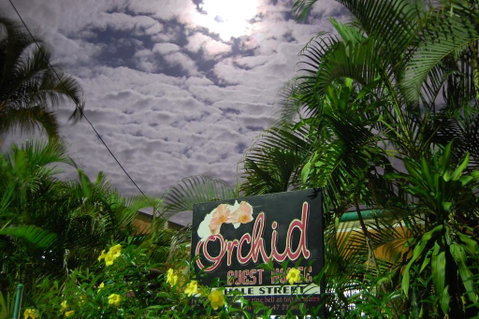 Orchid Guest House - C Tourism 1