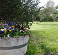 Padthaway Caravan Park - C Tourism