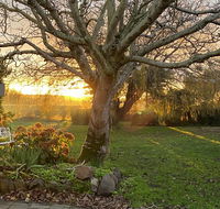 Peg Cottage - C Tourism