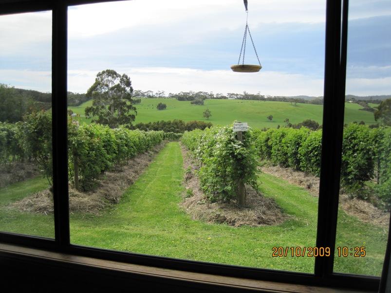 Barwon Downs ACT C Tourism