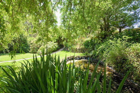 PLUM TREE COTTAGE - Spa Cottage With Woodfire - C Tourism 3