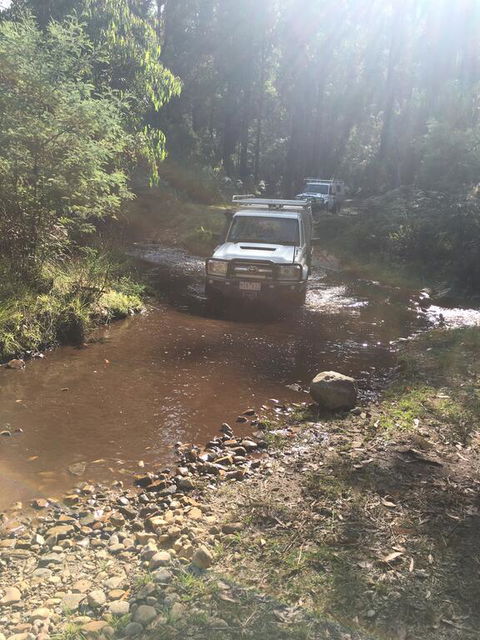 PNL 4WDriving Narbethong - C Tourism 3
