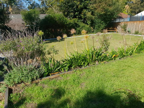 Poppies House - C Tourism 1