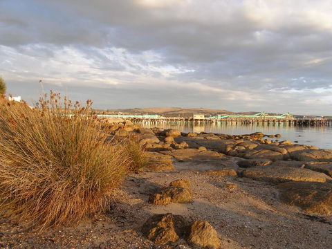 Port Lincoln Holiday Houses - C Tourism 3