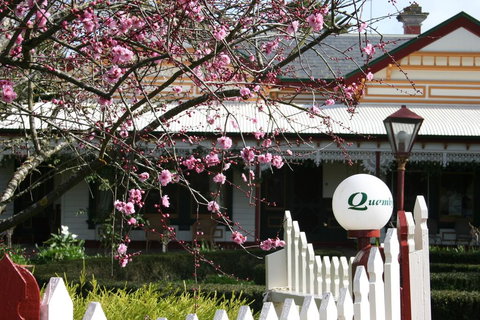 Quamby Homestead - C Tourism 2