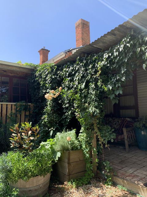 Red Hill Cottage - C Tourism 2