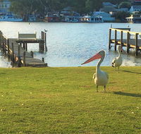 Riverfront Getaway - Mannum - C Tourism