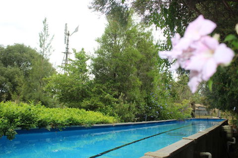 Rosebank Homestead And Farmstay - C Tourism 3
