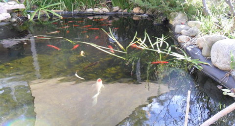 Settlement Motor Inn - C Tourism 2