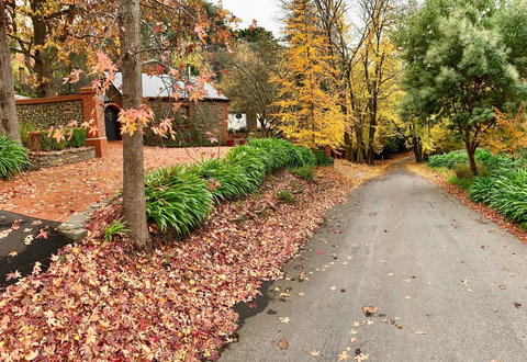 Sherwoode - C Tourism 2