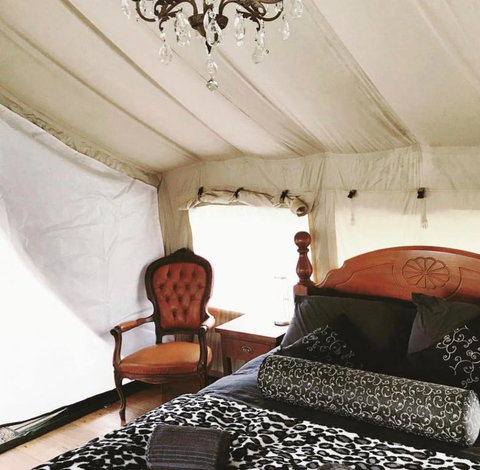 Silk Pavilions Glamping - C Tourism 1