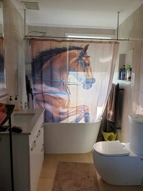 Silverbirch Cottage - C Tourism 3