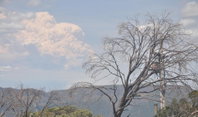 Book Mount Buller Accommodation Vacations C Tourism C Tourism
