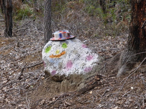 Splendid Wren Cottage - C Tourism 3