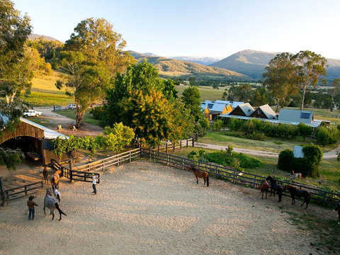 Spring Spur - C Tourism 3