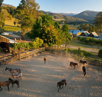 Spring Spur - C Tourism