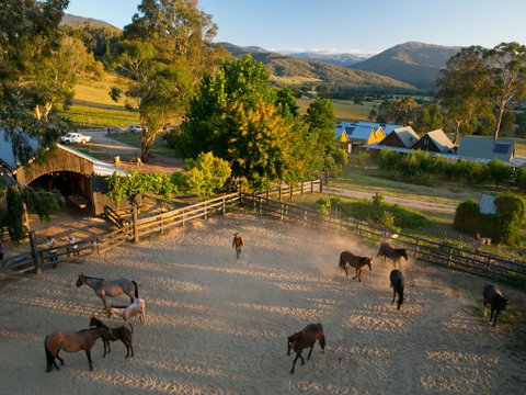Spring Spur - C Tourism 0