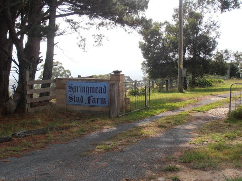 Springmead B&B - C Tourism 2