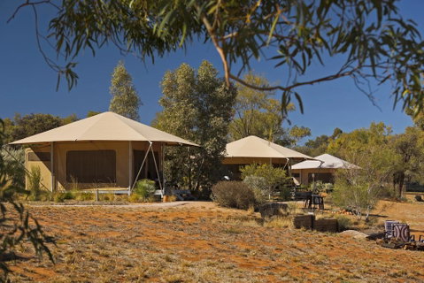 Squeakywindmill Boutique Tent B&B - C Tourism 0