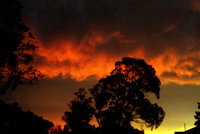 Book Thulimbah Accommodation Vacations C Tourism C Tourism