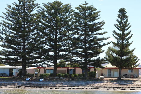 Tall Pines Beach House At Mount Dutton Bay (part Of Coffin Bay Waterways) - C Tourism 1
