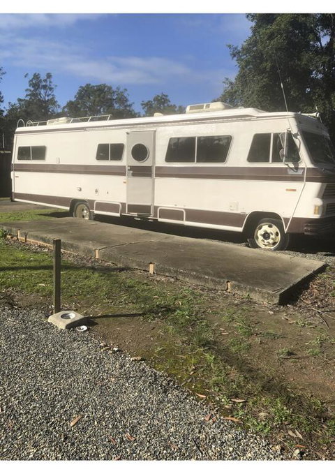 Tall Timbers Caravan Park Kempsey - C Tourism 3