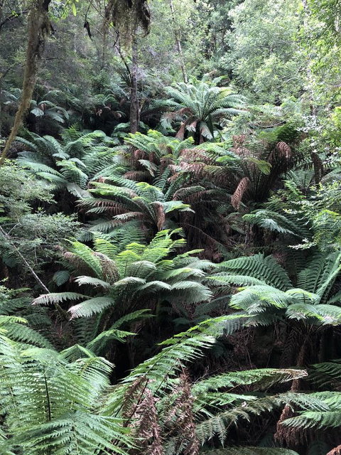 Corinna Wilderness Village - C Tourism 12