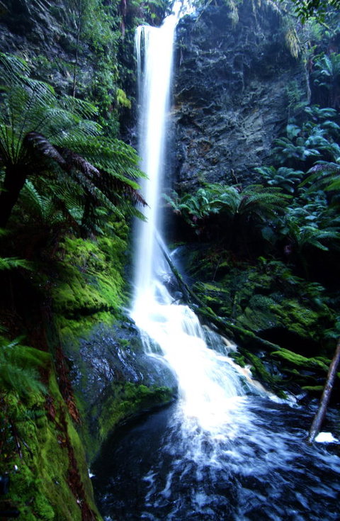 Corinna Wilderness Village - C Tourism 40