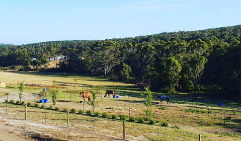 Lockleigh Park - C Tourism 19