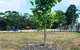 Lockleigh Park - thumb 5