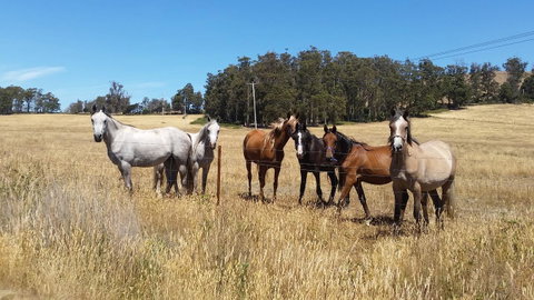 Lockleigh Park - C Tourism 28
