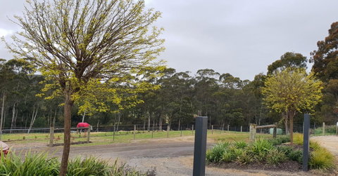 Lockleigh Park - C Tourism 0