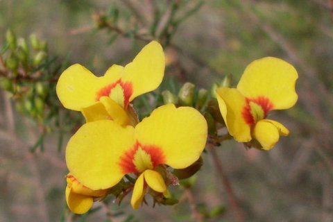 Three Beaches - C Tourism 43