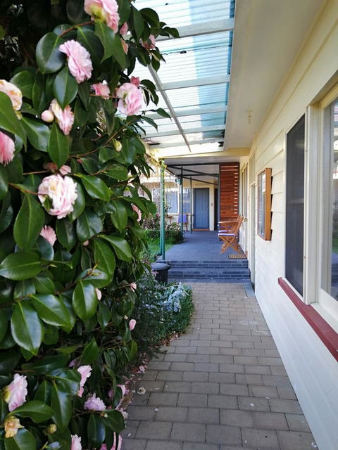 Wintersun Gardens Motel - C Tourism 5