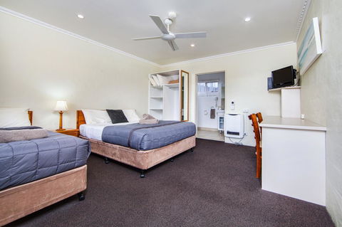 Wintersun Gardens Motel - C Tourism 39