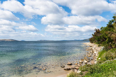 Litora Accommodation - C Tourism 27