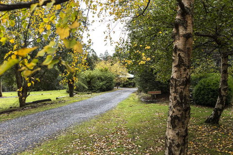 Cradle Forest Inn - C Tourism 36