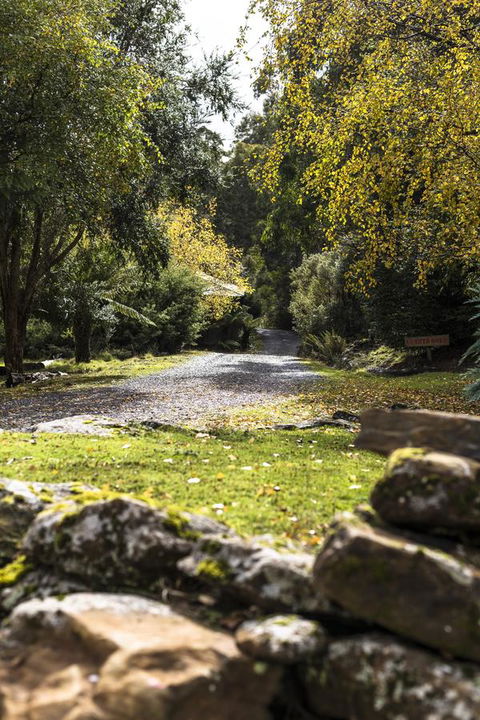 Cradle Forest Inn - C Tourism 34