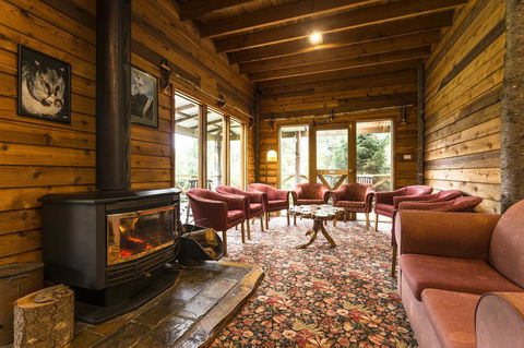 Cradle Forest Inn - C Tourism 1