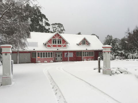 Cradle Forest Inn - C Tourism 0